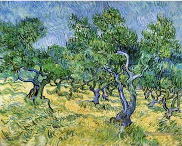 Olive Grove Vincent van Gogh Peinture à l'huile